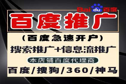 百度网络推广实战技巧：案例解析，让广告投放更精准